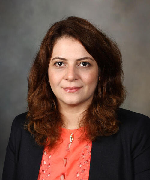 Nessa Aghazadeh Mohandesi, M.D.