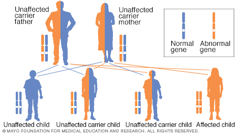 Autosomal recessive inheritance pattern