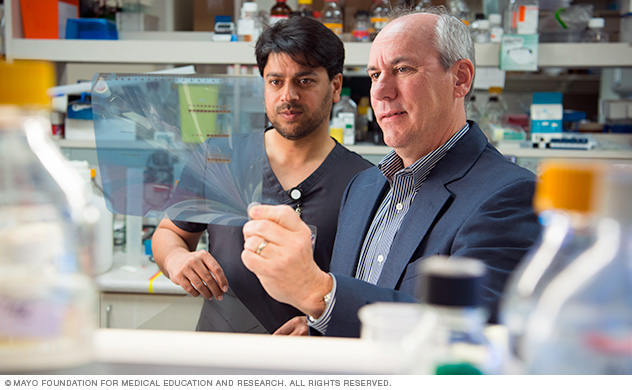 Researchers looking at results in a laboratory