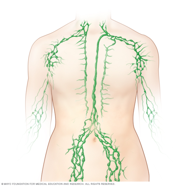 Lymph node locations