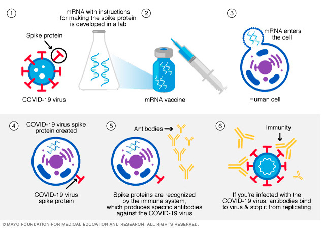 mRNA vaccine