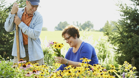 Photo of two people gardening