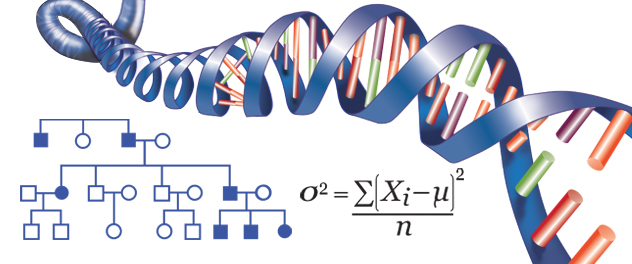 A graphic illustrating how the Schaid Lab at Mayo Clinic develops, applies, and distributes new statistical methods and user-friendly software to help unravel the complex genetic basis of common human diseases and traits