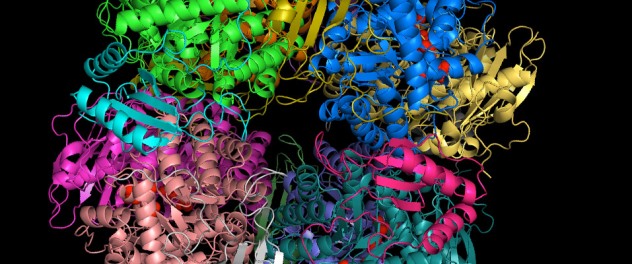 Computer-generated protein structure model