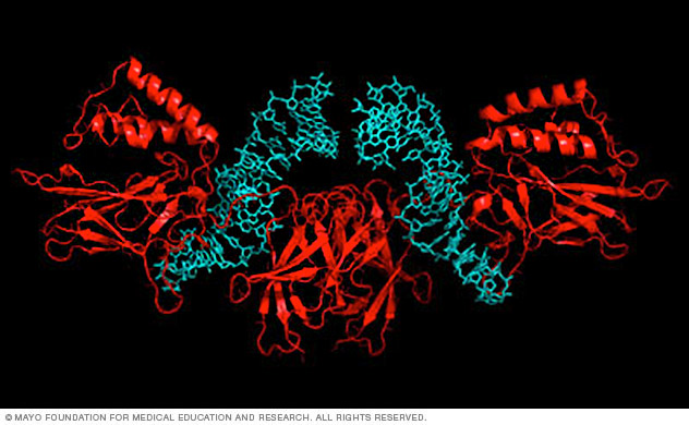 Visualization of inhibitory RNA aptamers binding the NF-kappaB transcription factor by molecular mimicry of the normal DNA target