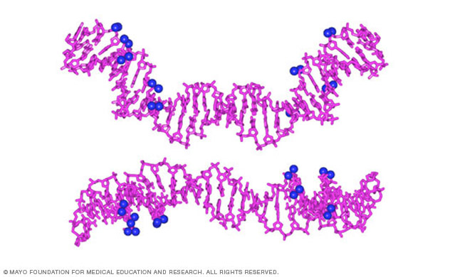 Studies of phosphate neutralization on DNA shape from the Nucleic Acid Structure and Recognition Lab of Jim Maher, Ph.D.