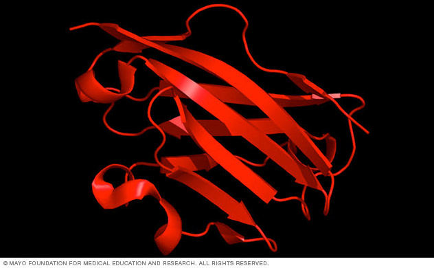 Structure of myelin oligodendrocyte glycoprotein, a multiple sclerosis autoantigen