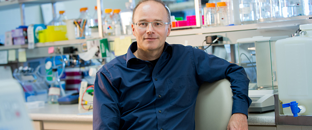 Image of Dr. Storz in his Tumor Development, Immunology and Progression Lab at Mayo Clinic.