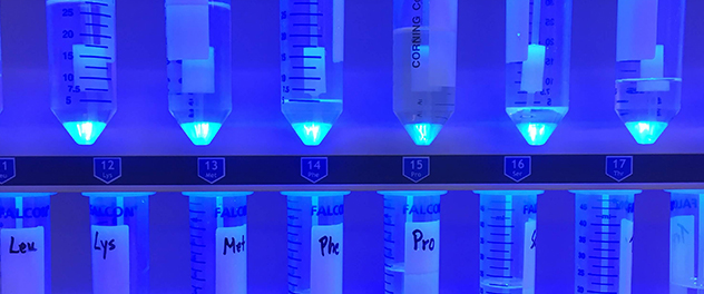 Peptide synthesis in progress at Mayo Clinic's Proteomics Core in Minnesota.