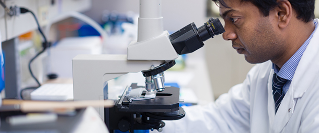 Lab staff member looking into a microscope