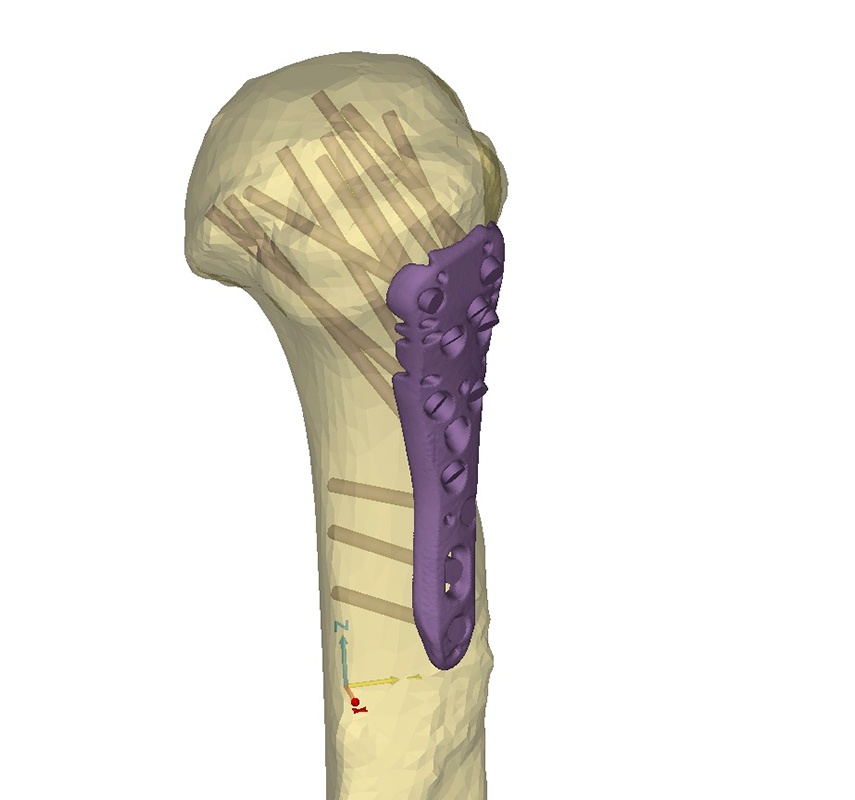 Medical imaging reconstruction software is available for anatomical analysis and model development in the Materials and Structural Testing Core at Mayo Clinic.