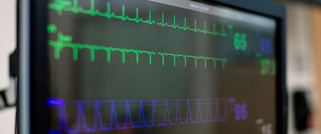 Dr. Brozovich's Cardiovascular Contractility and Signaling Lab at Mayo Clinic.