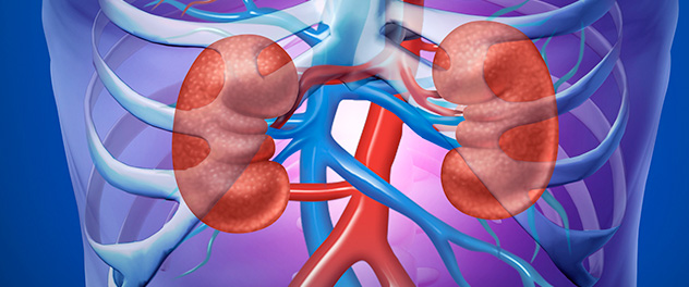 Dr. Misra's lab at Mayo Clinic studies end-stage renal disease and acute renal injury.