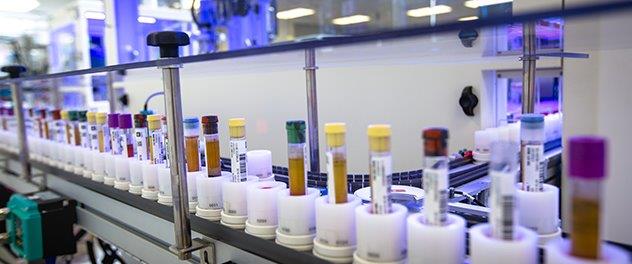 Photograph showing a row of test tubes in a lab