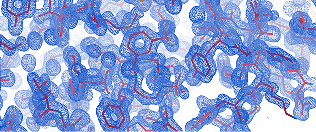 The Structural Biology Facility under Georges Mer, Ph.D., makes X-ray crystallography equipment, training and results accessible to Mayo Clinic researchers.