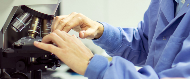 Lab personnel using microscopy for histological analysis in the Fairweather lab