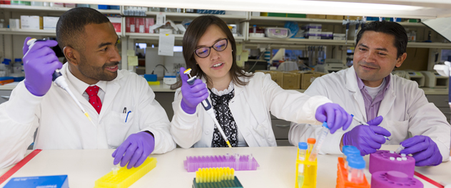 Image of 3 researchers in the Castro Cancer Research and Cellular Therapies Lab