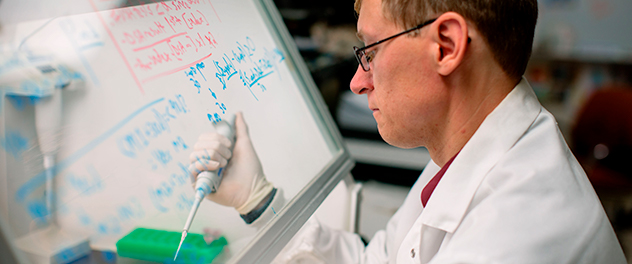 Photograph of a transplant researcher at Mayo Clinic