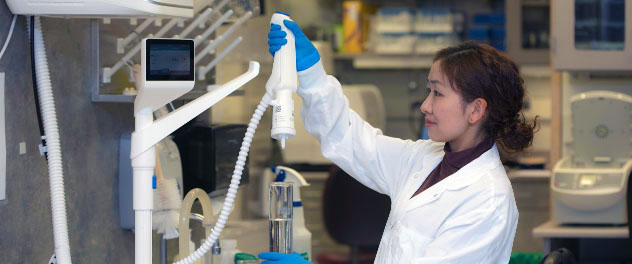 Photo of a researcher studying connections between the microbiome and cancer in the Stem Cell and Cancer Biology Lab