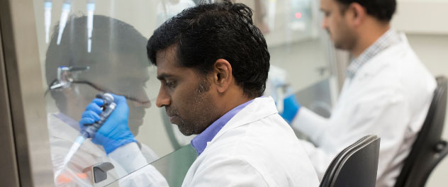 Photo of a researcher studying cells in the Stem Cell and Cancer Biology Lab at Mayo Clinic