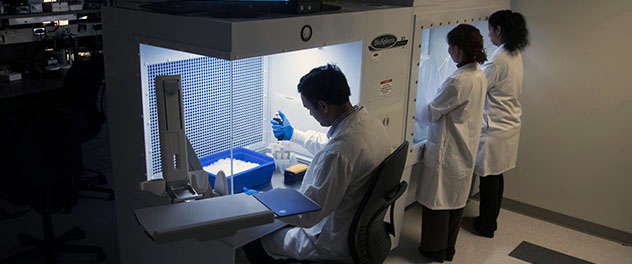 Photo of three researchers working in the Stem Cell and Cancer Biology Lab at Mayo Clinic