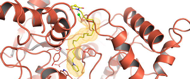 Inhibitor-bound African malaria mosquito acetylcholinesterase