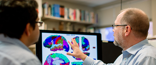 Dr. Worrell and his colleague examine a brain scan on a computer monitor.