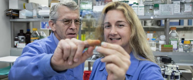 Dennis W. Dickson, M.D., and research collaborator Melissa E. Murray, Ph.D., examine a microscope slide.