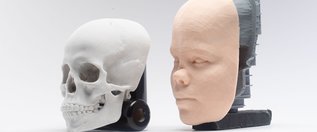 3D model for facial plastic and reconstructive surgery