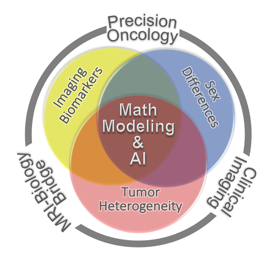 Research themes schematic featuring math modeling and AI