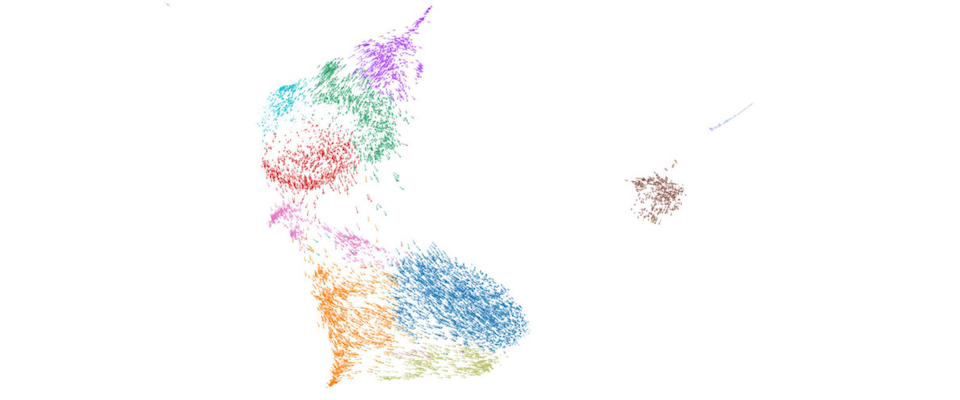 Single-cell RNA-seq (scRNA-seq) used to reconstruct cell fate dynamics in mouse lung cells