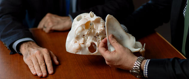 Two sets of hands manipulating anatomical skull model