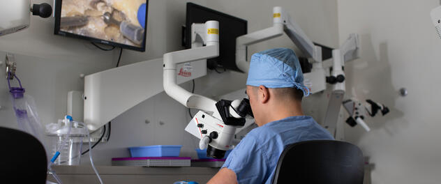 Surgeon viewing laparoscopic camera