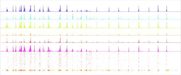 Epigenomic profiling