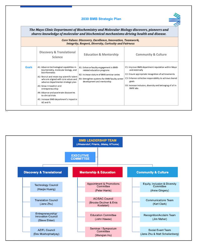 Biochemistry and molecular biology department's 2030 strategic plan, goals and core values with leadership team organization chart for implementation