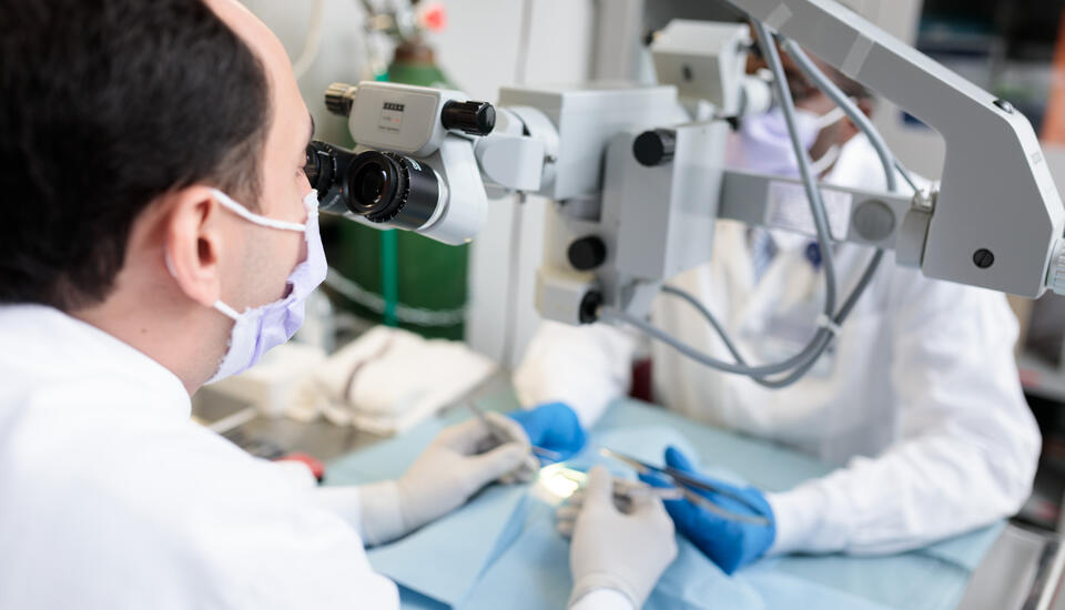 Photograph of two lab workers sitting across from each other at a table conducting research