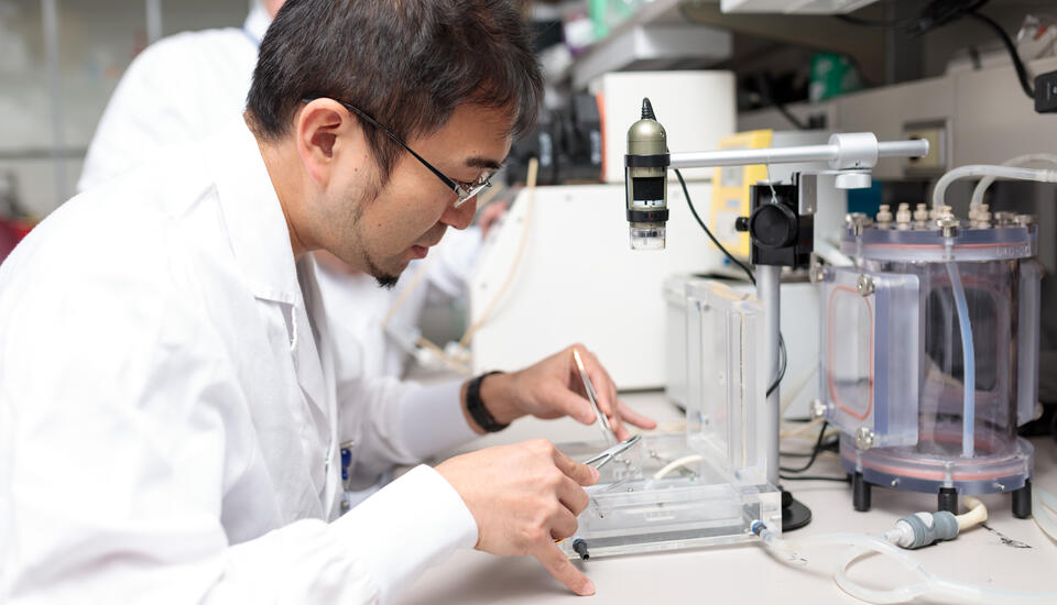 Photograph of a lab worker in a white lab coat and glasses conducting an experiment at a table