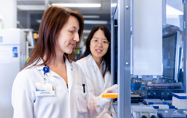 Photograph of lab members collaborating on PKD research at Mayo Clinic