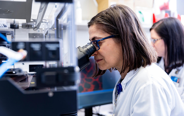 Photograph of a scientist at Mayo Clinic looking into a microscope