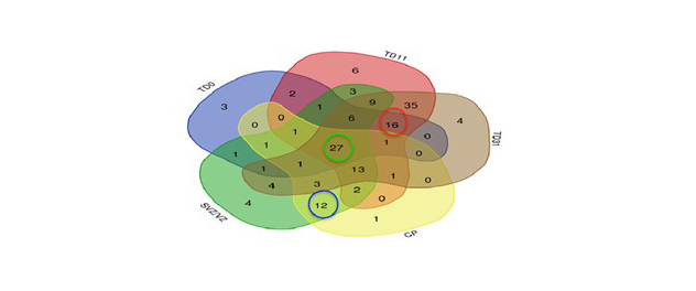 Color-coded representation shows overlap of a study's statistical findings.